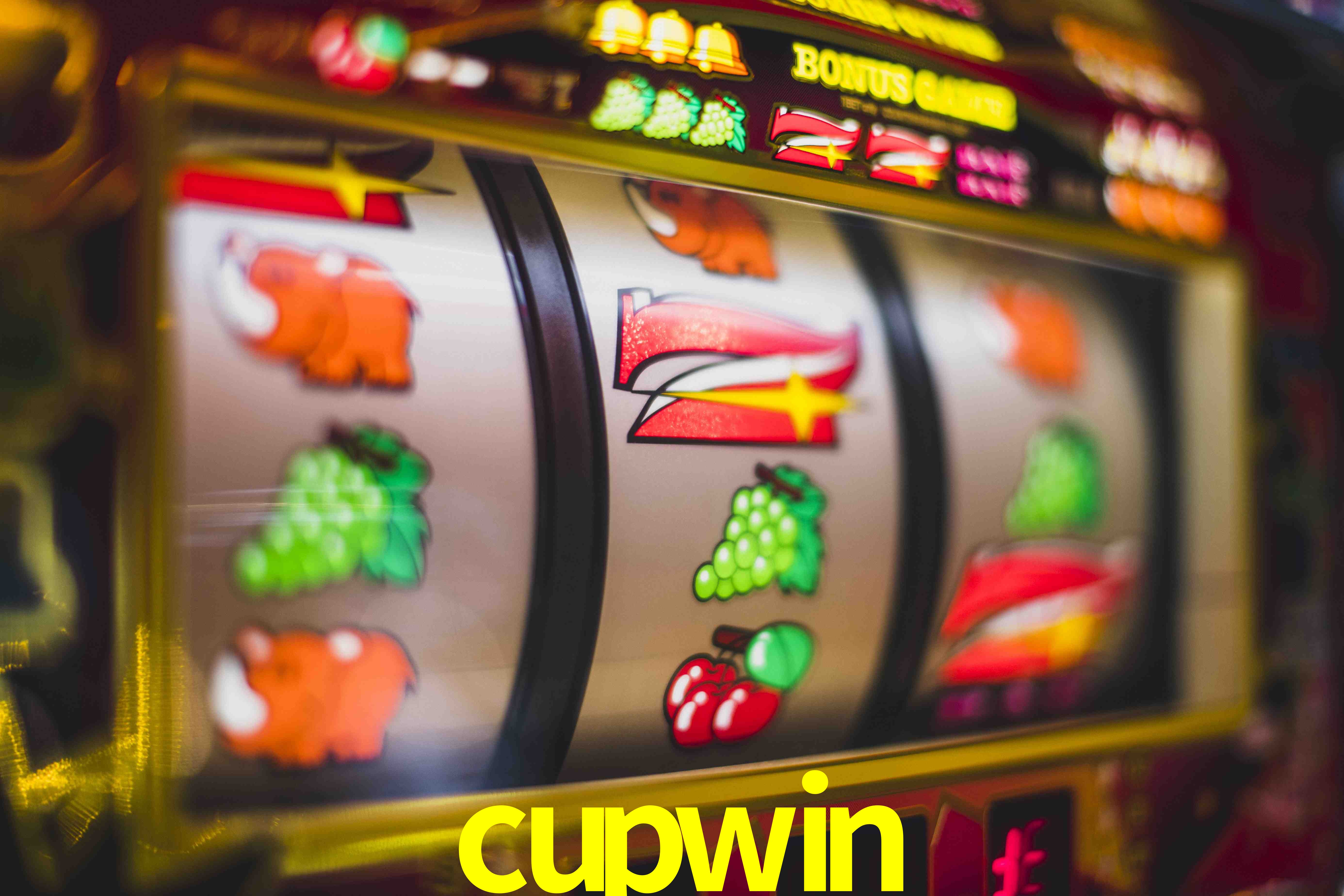 Sports Statistics cupwin
